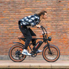 W16B 20" X 4" Fat Tire Electric Bike, 750W Motor Adult Ebike with 48V 15.6Ah Removable Battery, Electric Bicycle with 7 Speed, UL2849