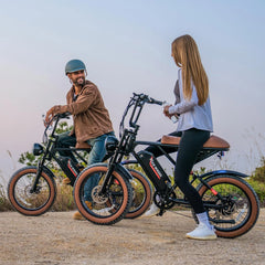 W16B 20" X 4" Fat Tire Electric Bike, 750W Motor Adult Ebike with 48V 15.6Ah Removable Battery, Electric Bicycle with 7 Speed, UL2849