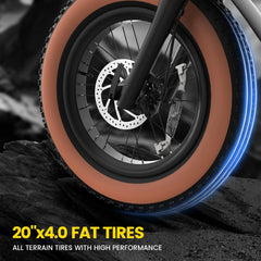 W16B 20" X 4" Fat Tire Electric Bike, 750W Motor Adult Ebike with 48V 15.6Ah Removable Battery, Electric Bicycle with 7 Speed, UL2849